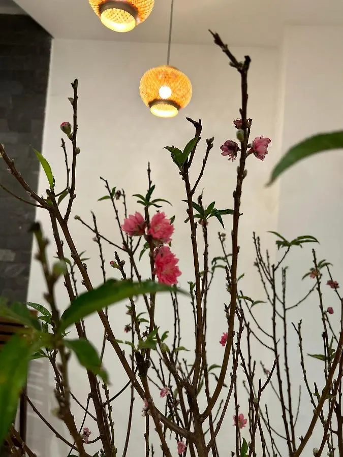 Vang Anh Homestay Hoi An